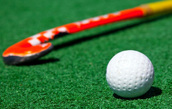 d8062fb623c3e73d84e496a943a543d6fa337025