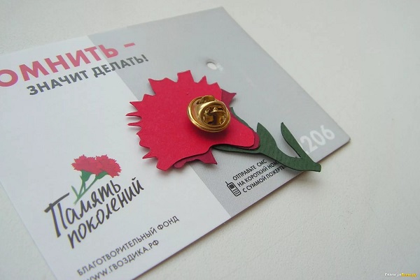 КРАСНАЯ ГВОЗДИКА3