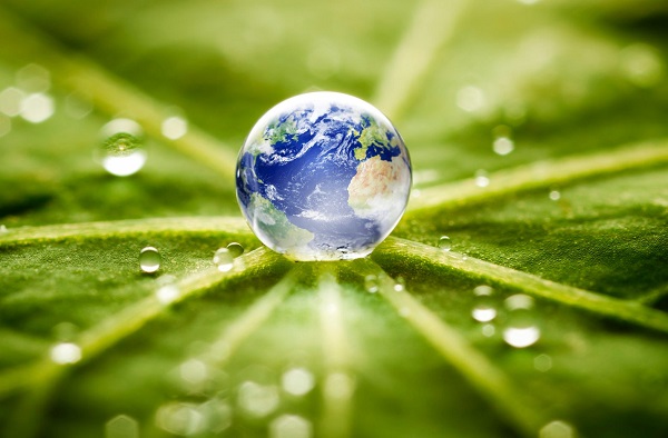 world-in-a-drop-of-water-on-a-leaf