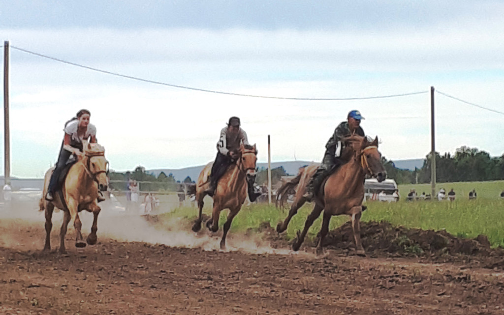 Самое зрелищное событие Сабантуя – скачки на лошадях татарской породы.