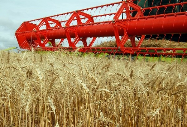 18c01df82bf3b0fddcb85551c4d63cc6