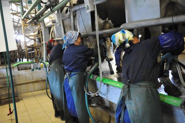 9c2bff4b5ba5a4cb7e77e434dfa01b44_L