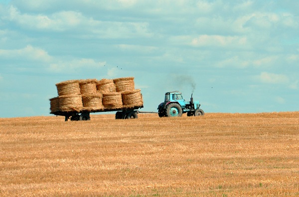 nature-sky-clouds-field