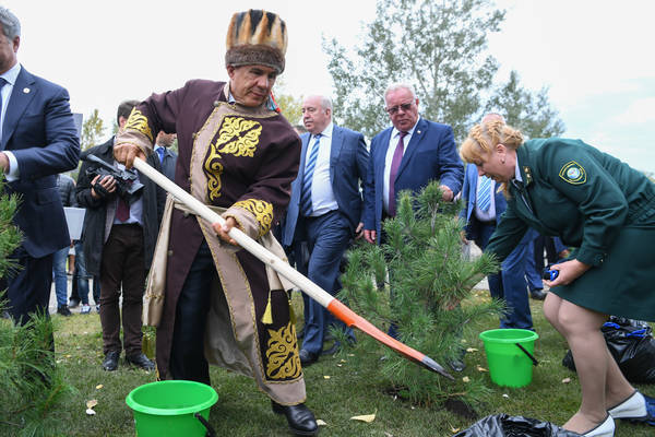 view_2994207_2430066