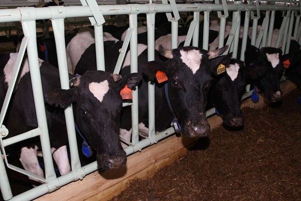 f0910723f91e247cb284ed958206aea8