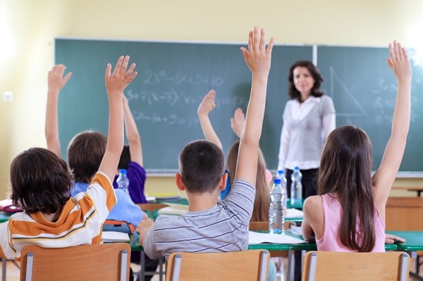 Elementary school students raising hands. View from behind.