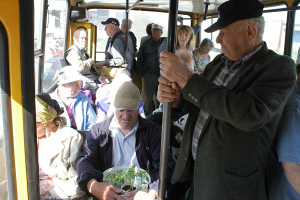 Картина дня_insit.tv