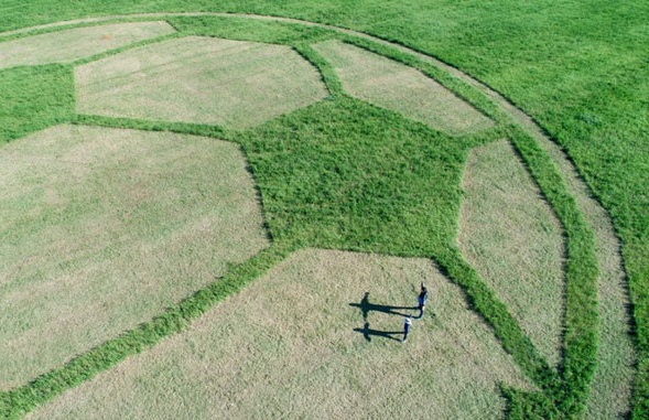 Картина дня_ntr-24.ru_