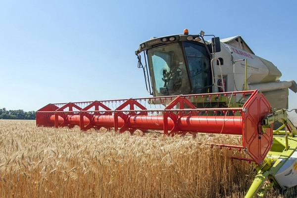 Уборка зерновых_kazanfirst.ru_
