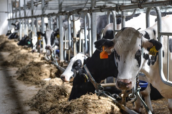 6fb99fdefb8b3cbdc115e3d363605ca2