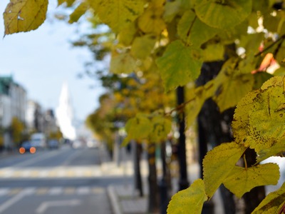 В Казани в октябре ожидается аномально теплая погода