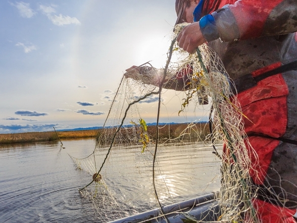 браконьеры в татарстане