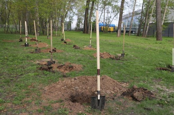 daef6510999157868ff36b4cfd71c243