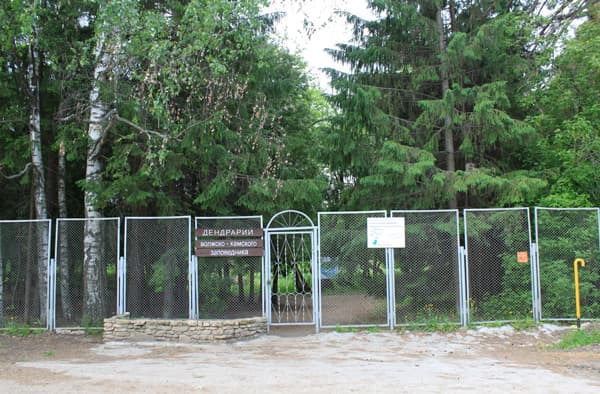 дендрарий Волжско-Камского заповедника