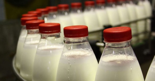 молочная продукция