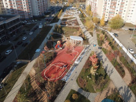 Белые цветы