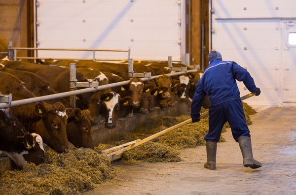 гранты на развитие сельского хозяйства