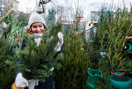елочные базары2