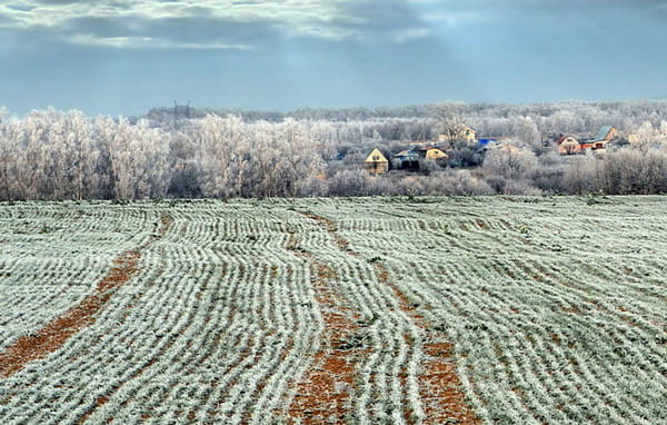 подкормка-почвы2