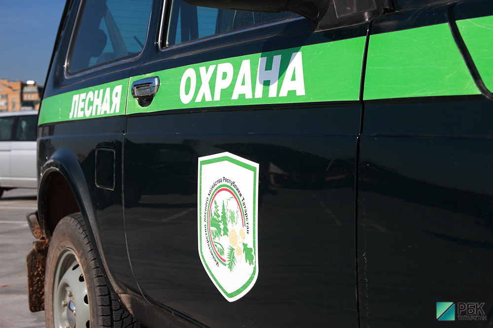 лесная охрана