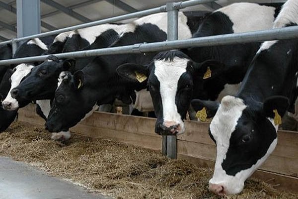 light_d3720125e30864f40f9f2aa65a77b83f