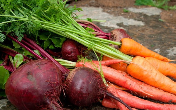морковь-свекла