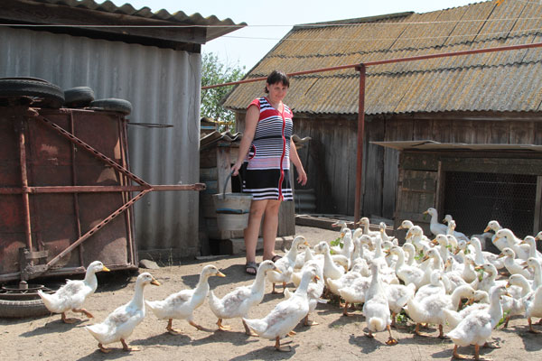 подсобные-хозяйства