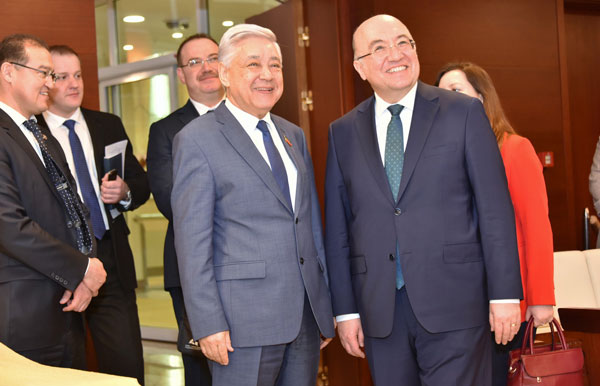 полос-турции-3