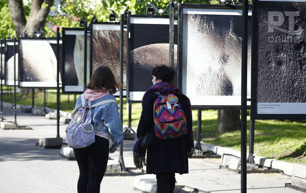 Кожа-лунный-пейзаж