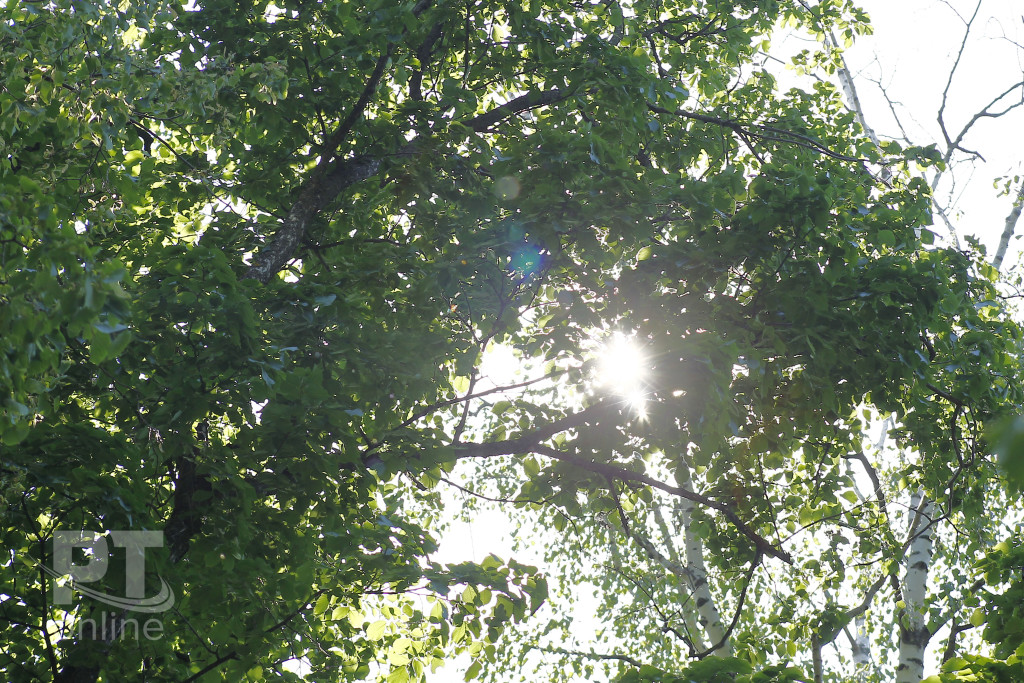 лето погода