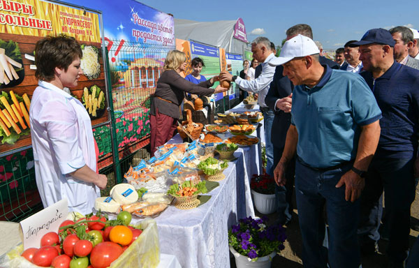 в-нурлатском-районе