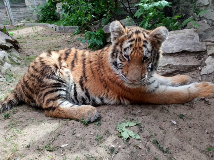 WhatsApp Image 2019-06-14 at 10.02.39