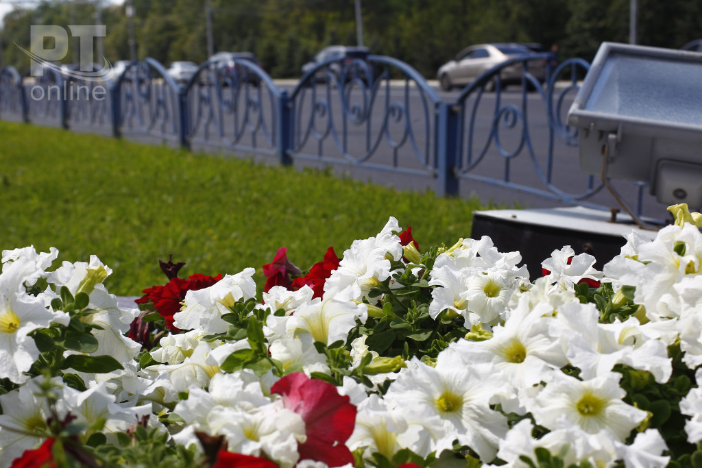 Погода_Ясно_A8G1636