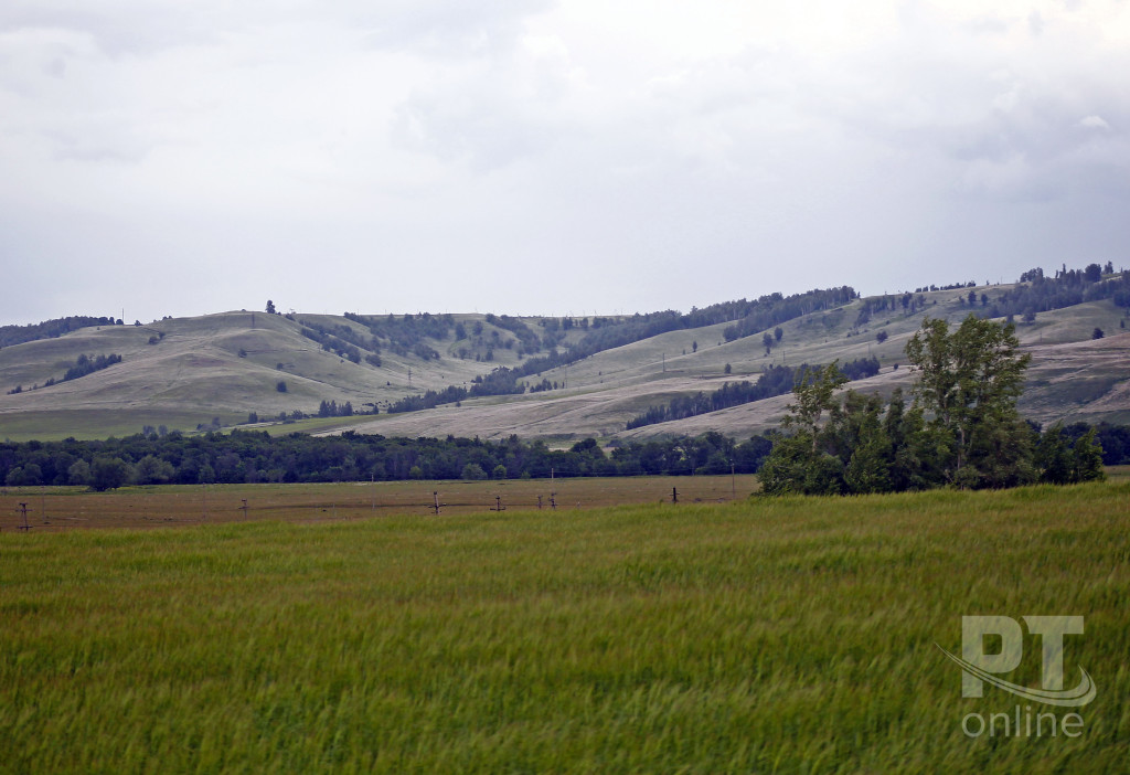Заинский район_просторы_холмы_A8G0135