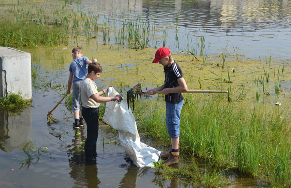 чистый-берег