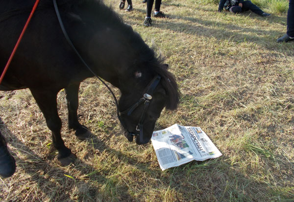 конкурс-рт2