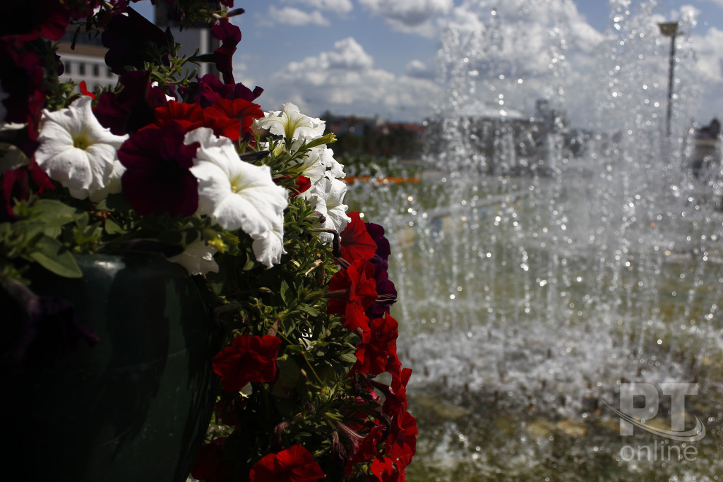 Город цветы_A8G2689