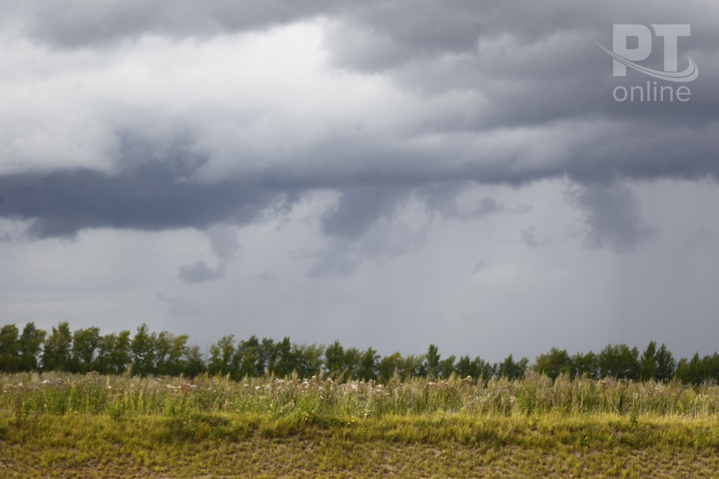 Погода_пасмурно_перед грозой_A8G2909