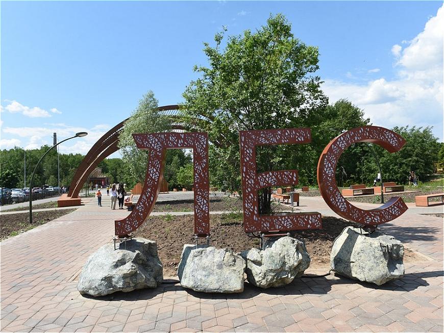 горкинский лес