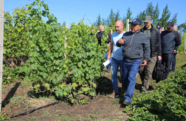 камско-устьинский-район2