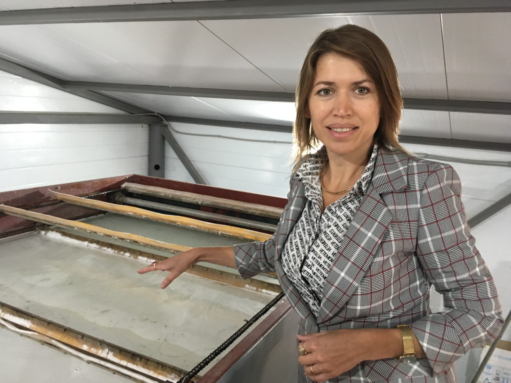 молокозавод (4)