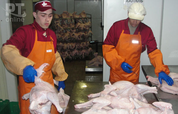 Производство-мяса-индейки