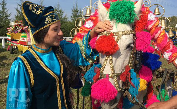 день-коня111