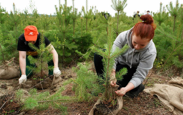 неделя-леса2