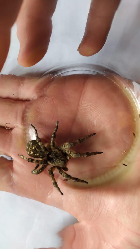 photo_2019-09-10_13-17-41