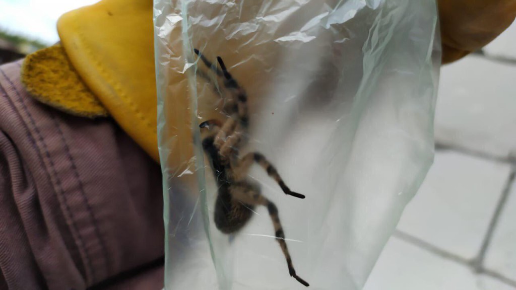 photo_2019-09-10_13-17-42