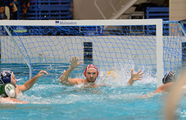 синтез-водное-поло