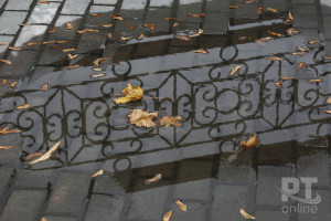 Погода_дождь_A8G2676