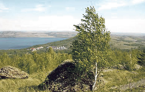 Берёза-Валиахмата