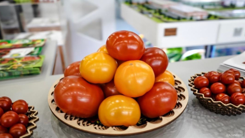 AW8RX0hgwzF6S7mV8b3h-1060x600-watermark